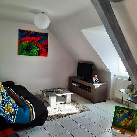 Appartement Spacieux A Ingersheim Avec Vue Sur Jardin 100 M² Ngoại thất bức ảnh