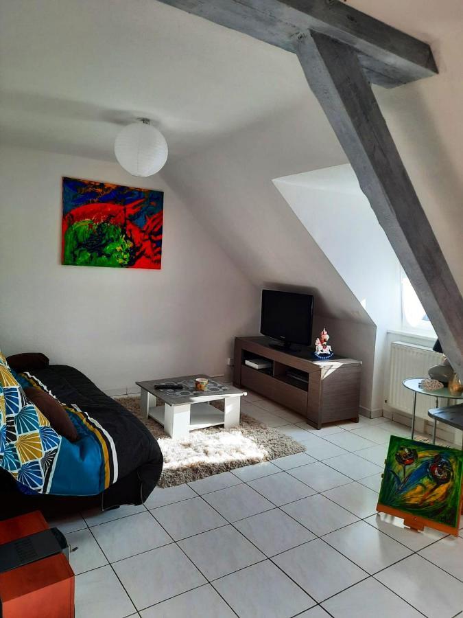 Appartement Spacieux A Ingersheim Avec Vue Sur Jardin 100 M² Ngoại thất bức ảnh