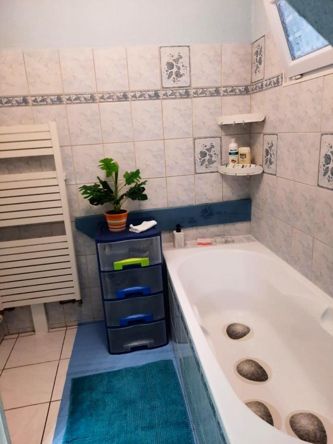 Appartement Spacieux A Ingersheim Avec Vue Sur Jardin 100 M² Ngoại thất bức ảnh
