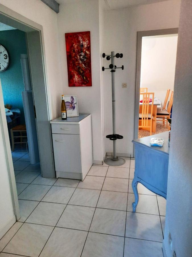 Appartement Spacieux A Ingersheim Avec Vue Sur Jardin 100 M² Ngoại thất bức ảnh